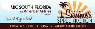 Florida American Airlines