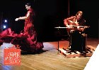 Nu Flamenco 